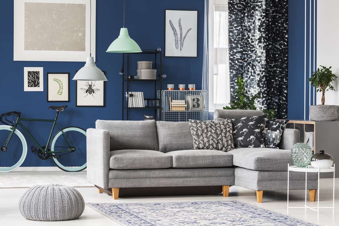 A modern blue themed living room with blue colored walls, a gray sleeper couch, and a matching gray ottoman, How Far Should An Ottoman Be From A Chair?