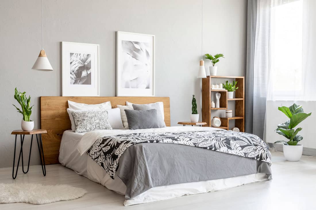 Patterned blanket on wooden bed in grey bedroom interior with plants and posters