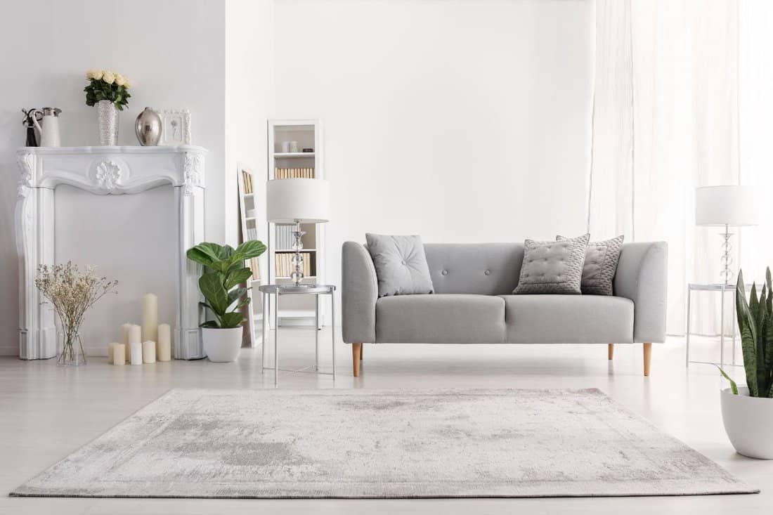 Plants and carpet in white living room interior with candles next to grey couch. Real photo 