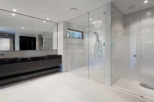 Read more about the article Do Frameless Shower Doors Leak?