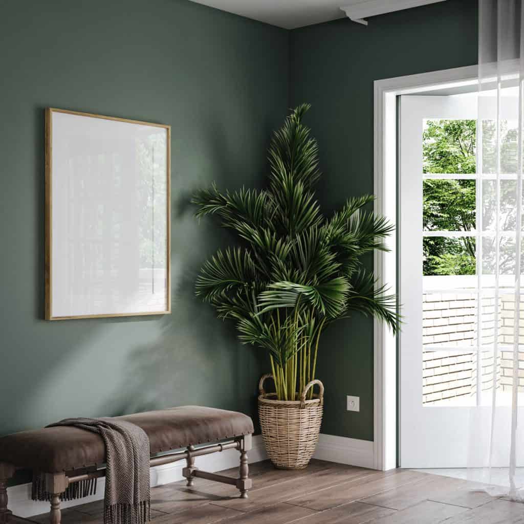 Green painted walls with hardwood flooring and a white front door