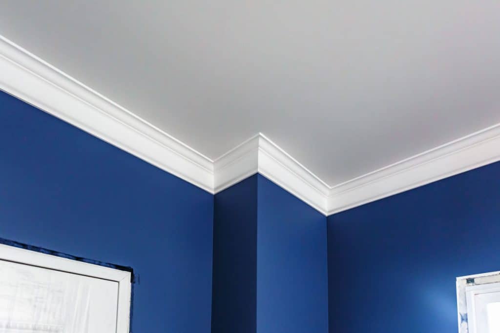 Living with blue painted walls and matching white crown molding