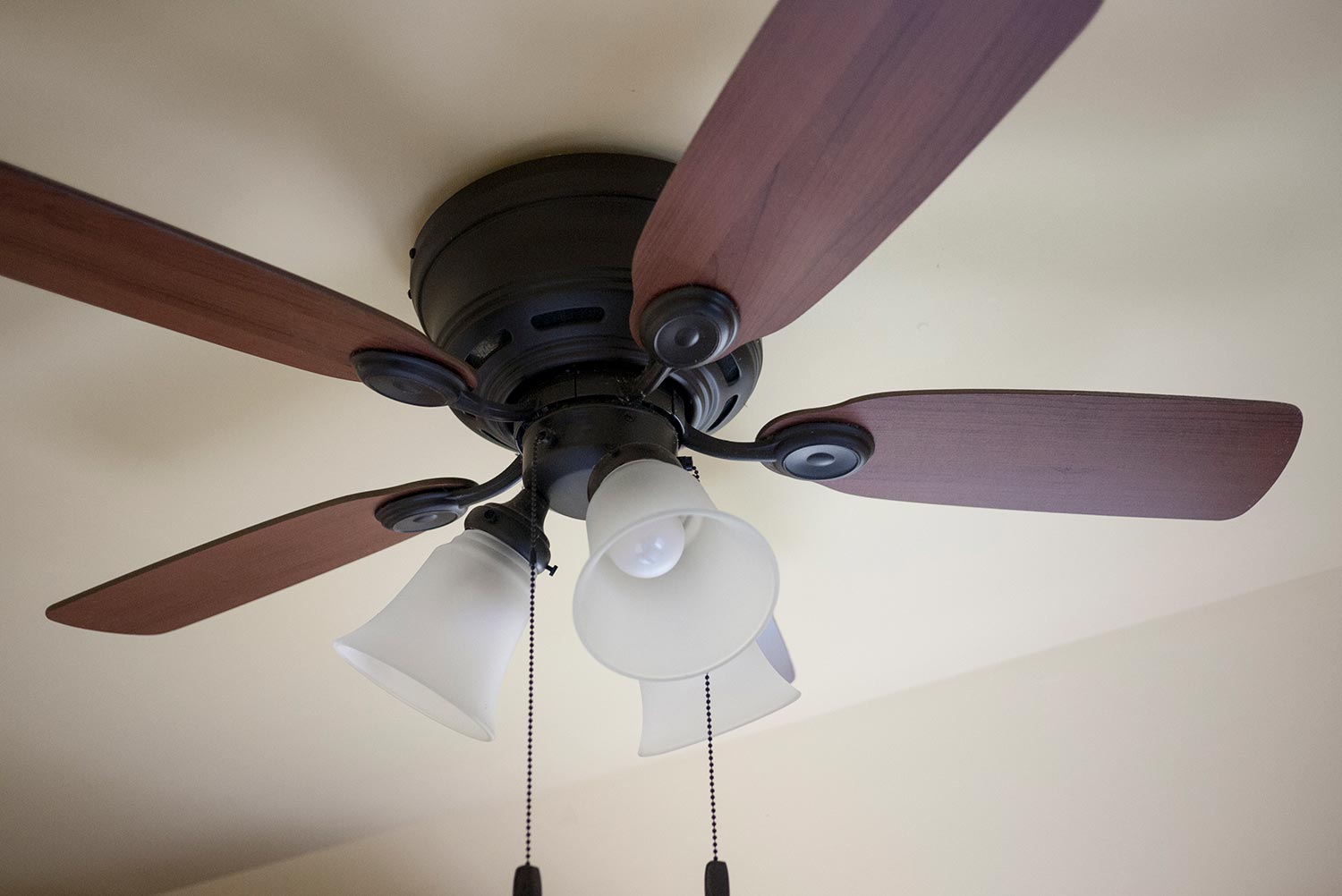 Wooden fan blades with a black metal body and chain switches