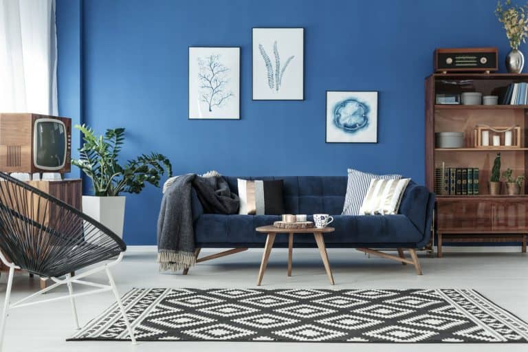 A blue colored wall with a dark blue colored chair and checkered rug on the center of the living room
