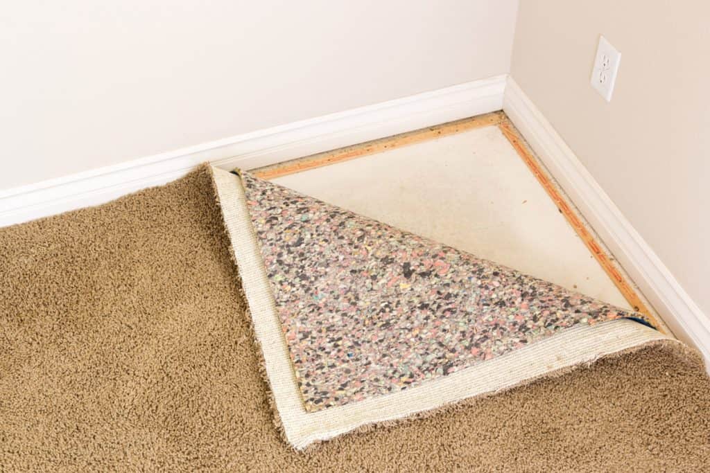 A carpet and its padding pulled back in a room