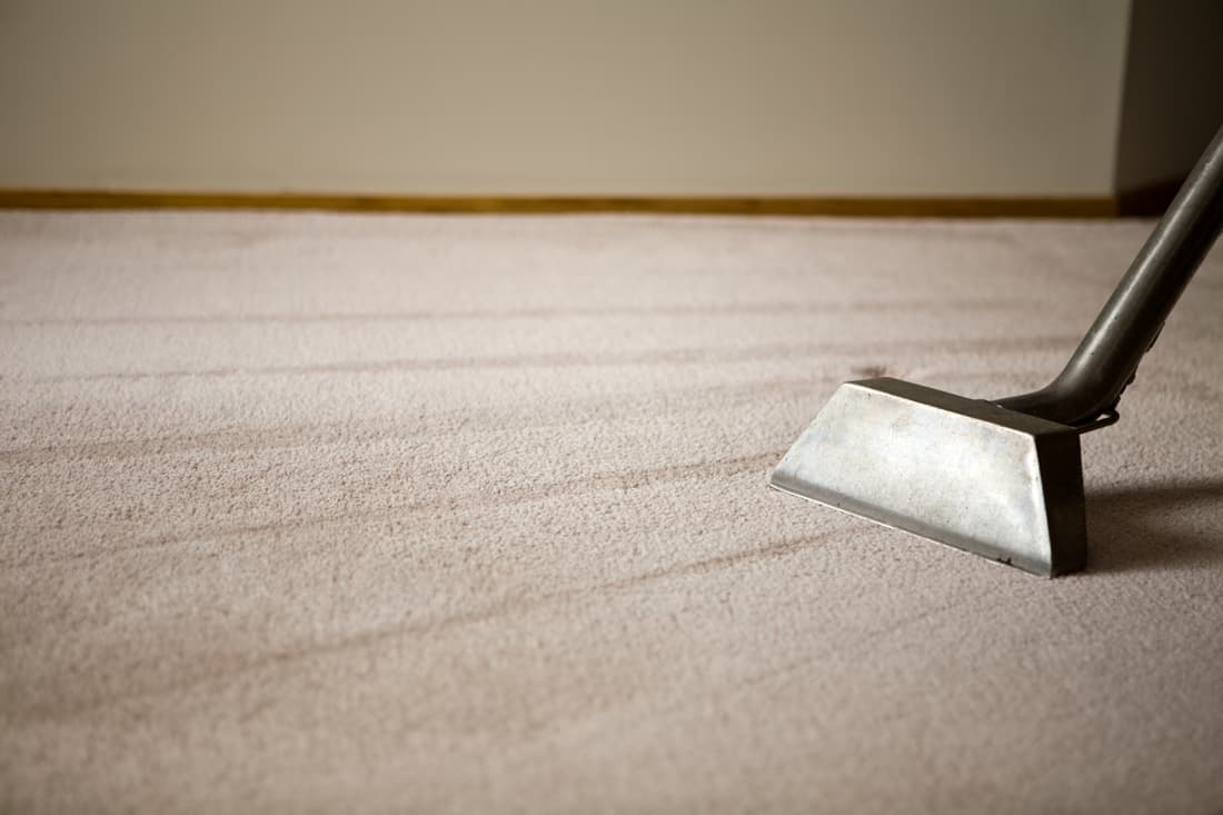 Carpet cleaning equipment cleaning a shag carpet in the living room, Does Carpet Shampoo Expire? Here's What You Need to Know