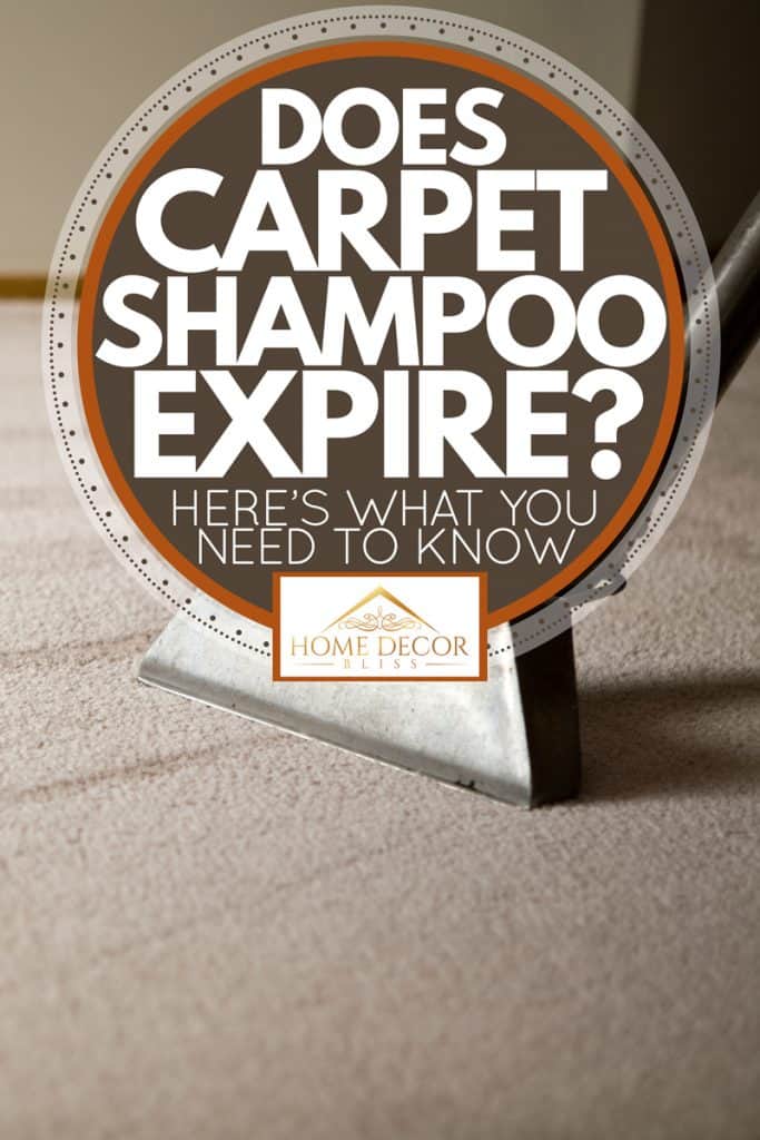 A carpet cleaning equipment cleaning a shag carpet in the living room, Does Carpet Shampoo Expire? Here's What You Need to Know