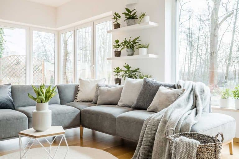 Gray corner couch with pillows and blankets in white living room interior with windows and glass door and fresh tulips on end table, How Many Pillows To Put On A Sectional?
