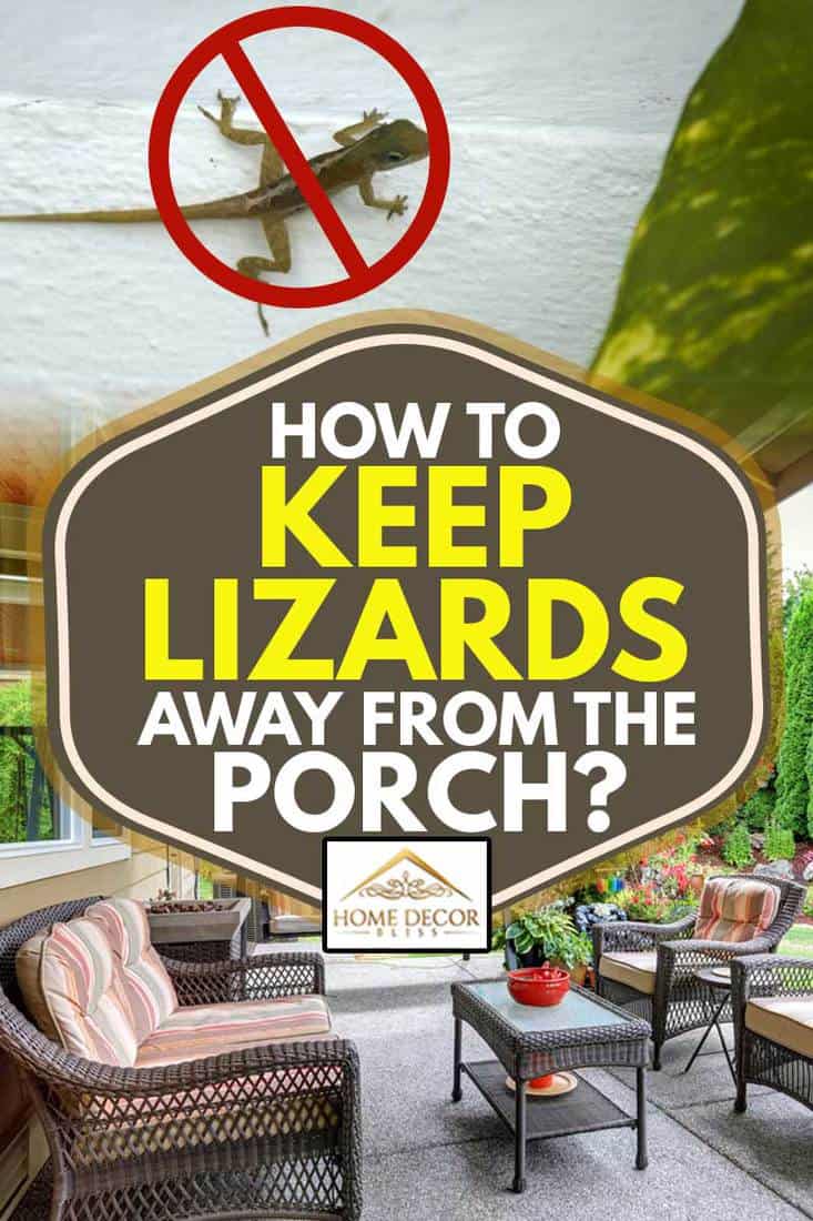 How To Keep Lizards Away From The Porch? - Home Decor Bliss Excuses To Leave The House At Night