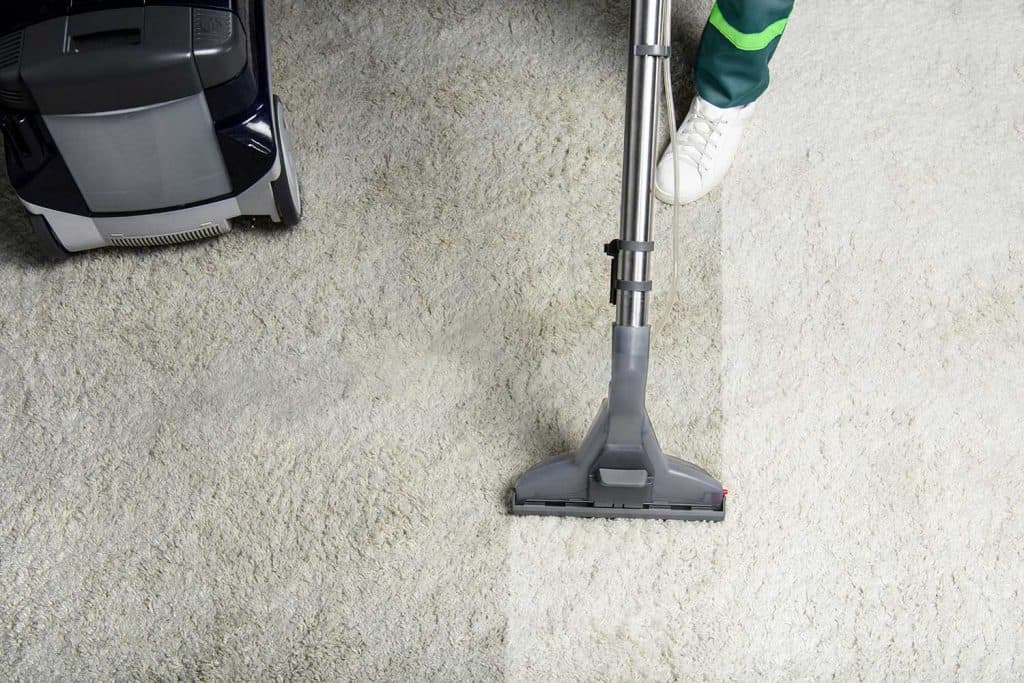 Person cleaning white carpet with professional vacuum cleaner