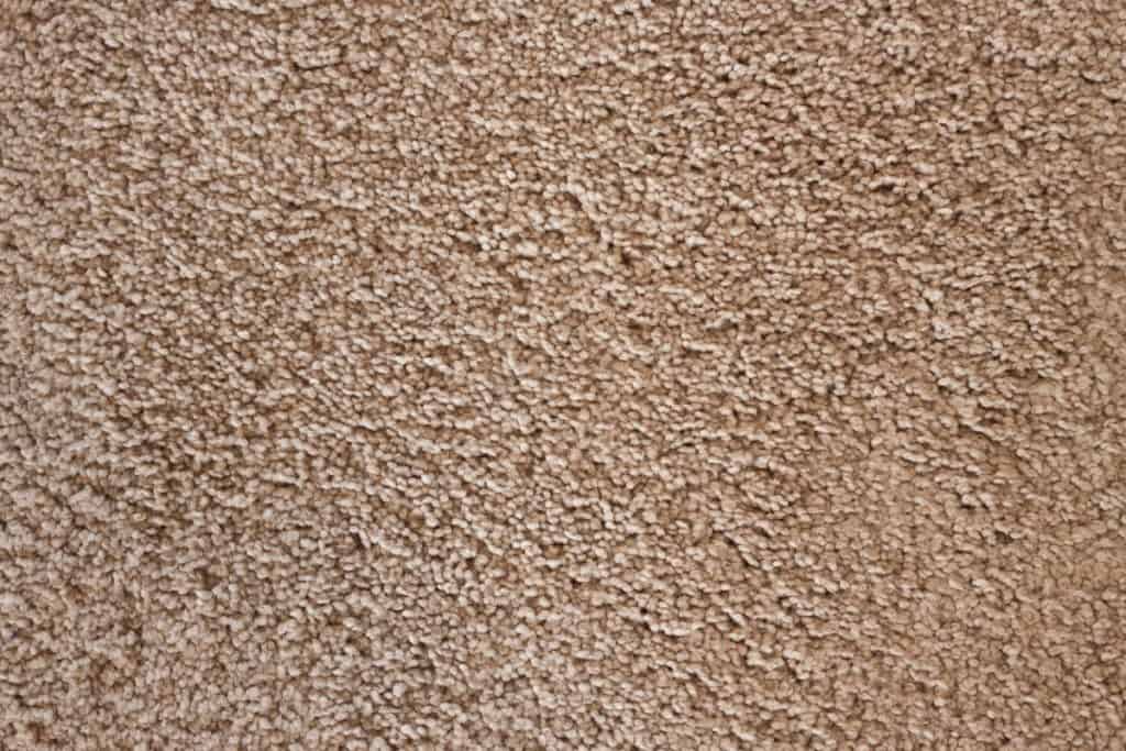 A soft textured carpet 