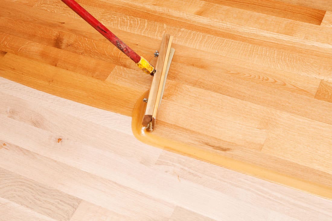 Squeegee Style Brush Applying Clear Polyurethane to Hardwood