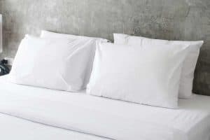 Read more about the article 10 Types Of Filling Materials For Pillows