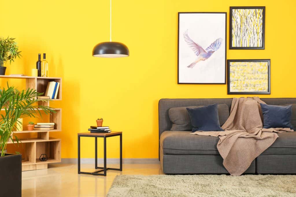 Yellow painted living room wall with a gray sofa and a dangling lamp