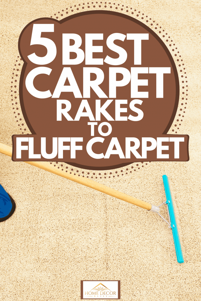 A woman using a carpet rake on her carpet, 5 Best Carpet Rakes To Fluff Carpet