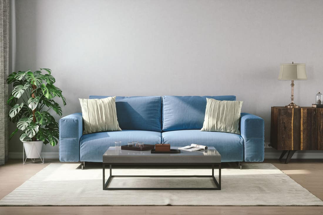Blue couch with throw pillows on it with an off white colored area rug on the floor, How Much Does A Couch Weigh? [By Type of Couch]