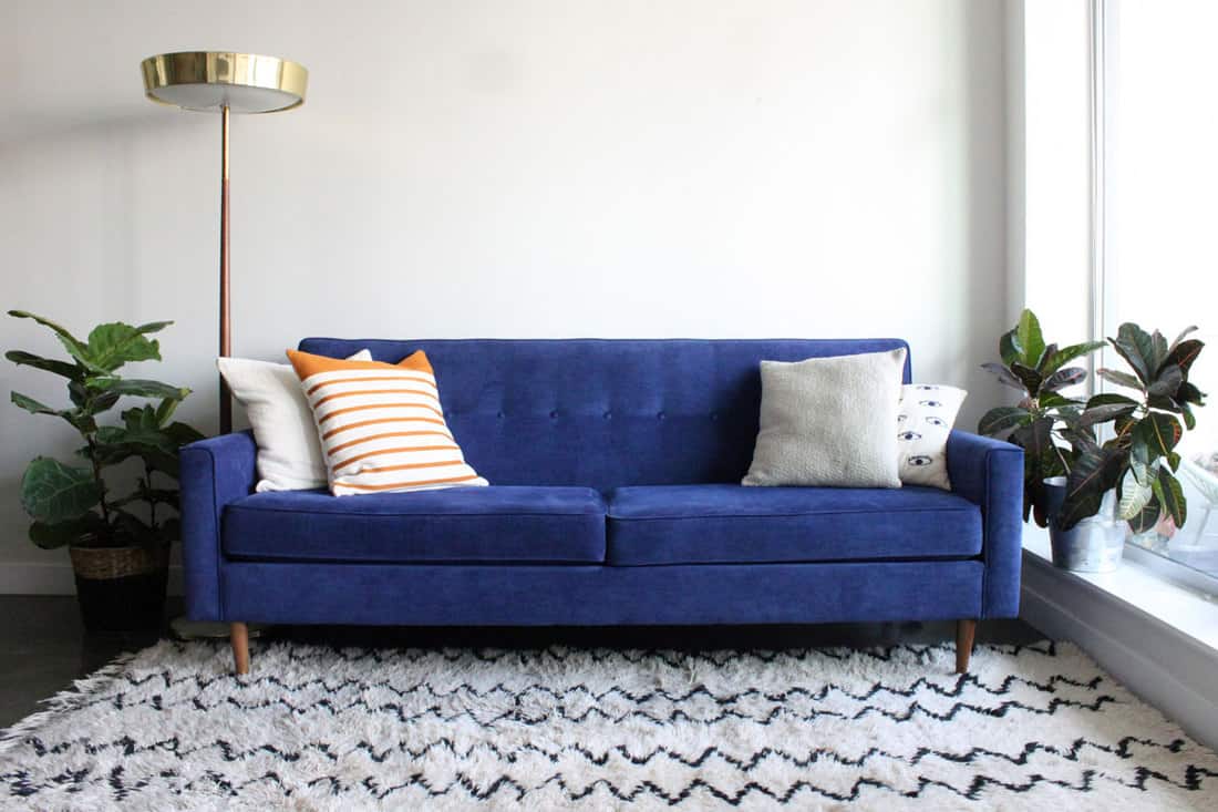 Blue suede sofa mid century style with an area rug underneath and an indoor fiddle leaf tree plant on each side, How to Clean a Suede Couch [4 Effective Ways]