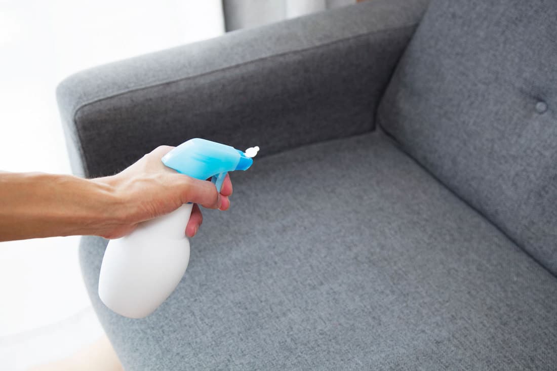 Man sanitizing a sofa using a small sprayer, How to Deodorize a Sofa [6 Effective Methods]