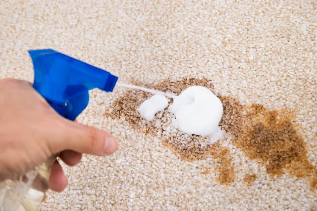 A man using a spray foam to clean a stained carpet