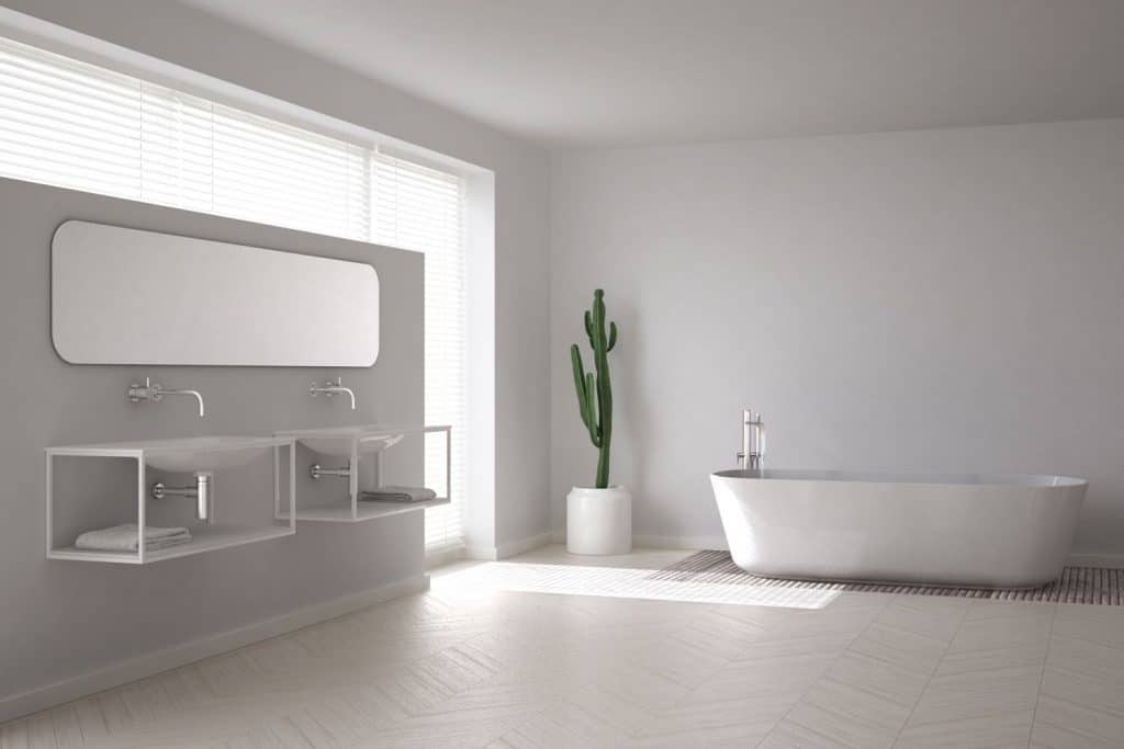 A minimalist themed vanity section and indoor cactus and a large bathtub