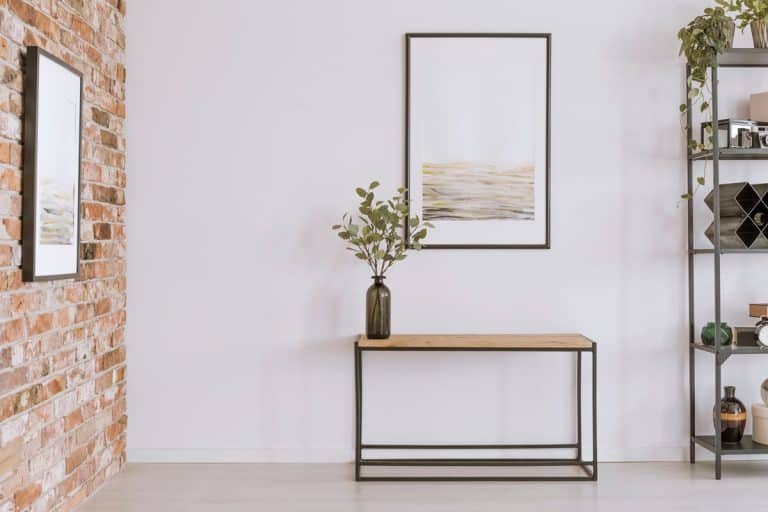 A small living room with a brick and plain white painted wall with a console table and an indoor plant on it, Can A Console Table Be Used As A TV Stand?