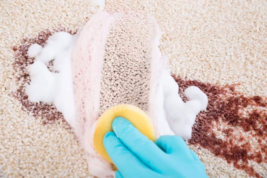 A woman cleaning her carpet with spilled coffee