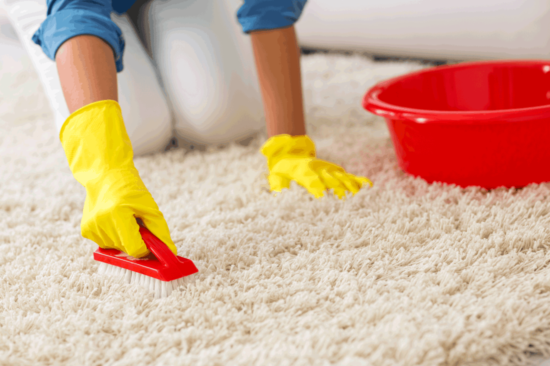Woman scrubbing her carpet due to spilled grease and oil, How To Get Grease And Oil Out Of Carpet