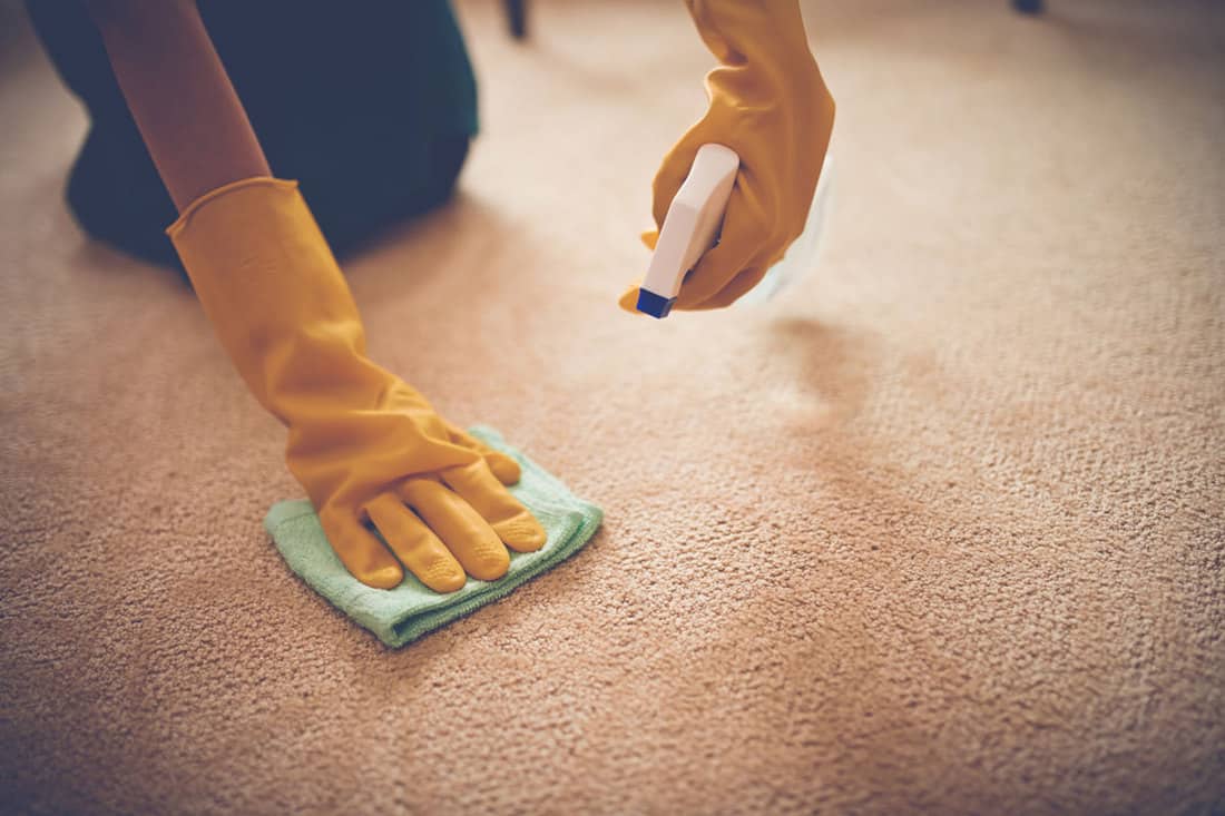 Woman wearing gloves and using a cloth together with a spray to remove wax on her carpet, How to Get Wax Out of a Carpet [4 Ways]