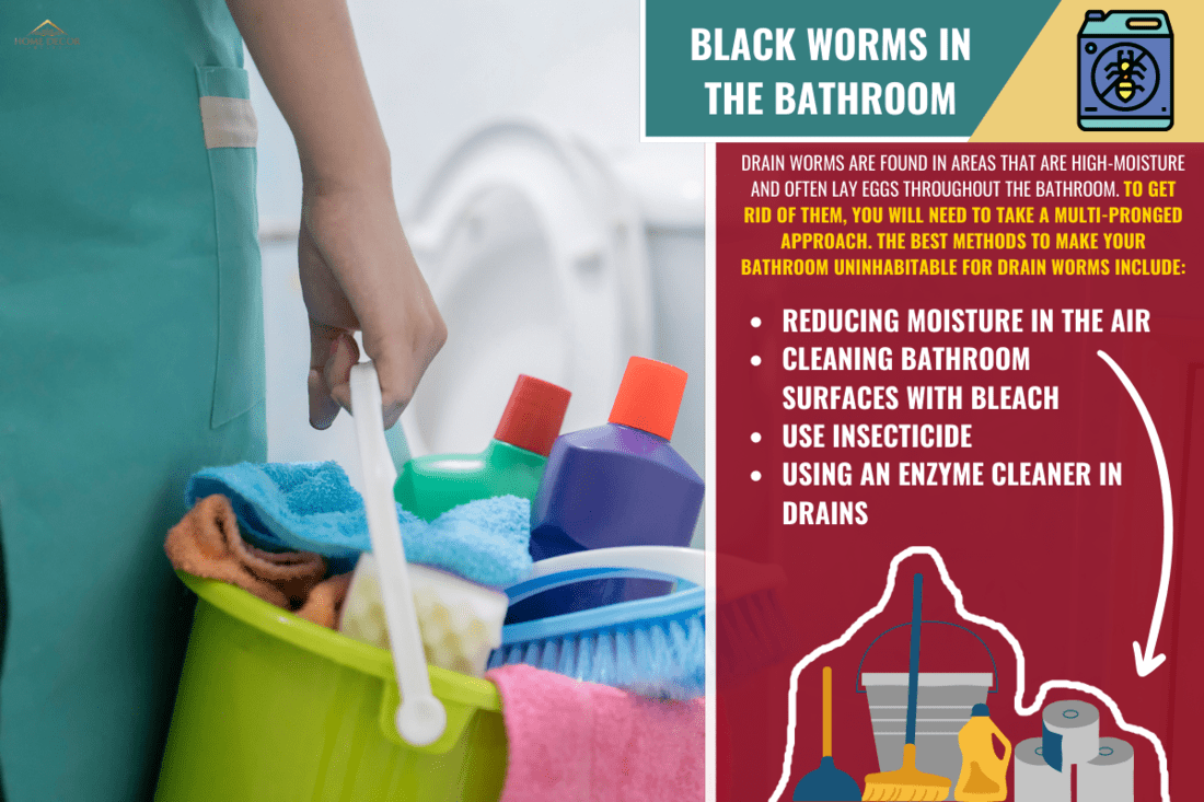 Aisian lady cleaning with a bucket and cleaning products on blurred background. - How to Get Rid of Black Worms In the Bathroom [4 Methods]
