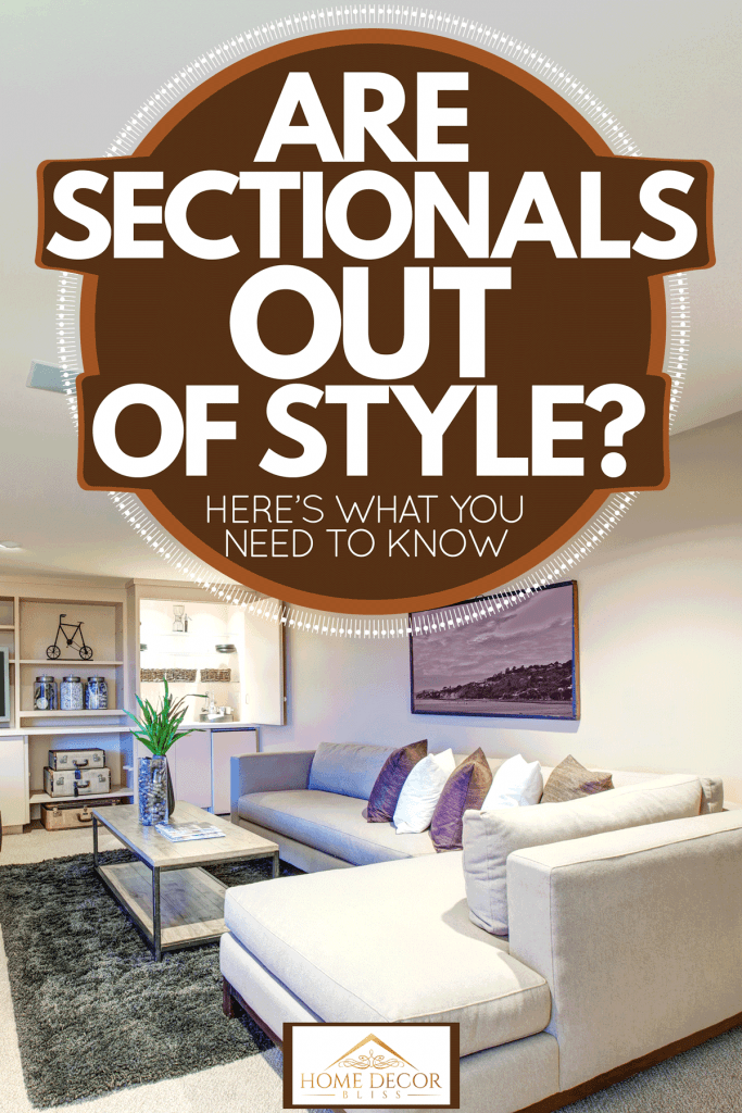 A light gray colored sectional sofa with a gray area rug in front and a coffee table with an indoor plant placed on top, Are Sectionals Out of Style? Here's What You Need to Know