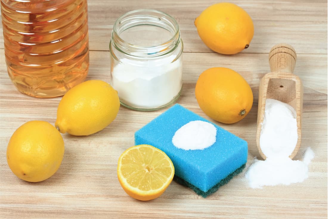 Baking soda (sodium bicarbonate), lemon, vinegar and salt