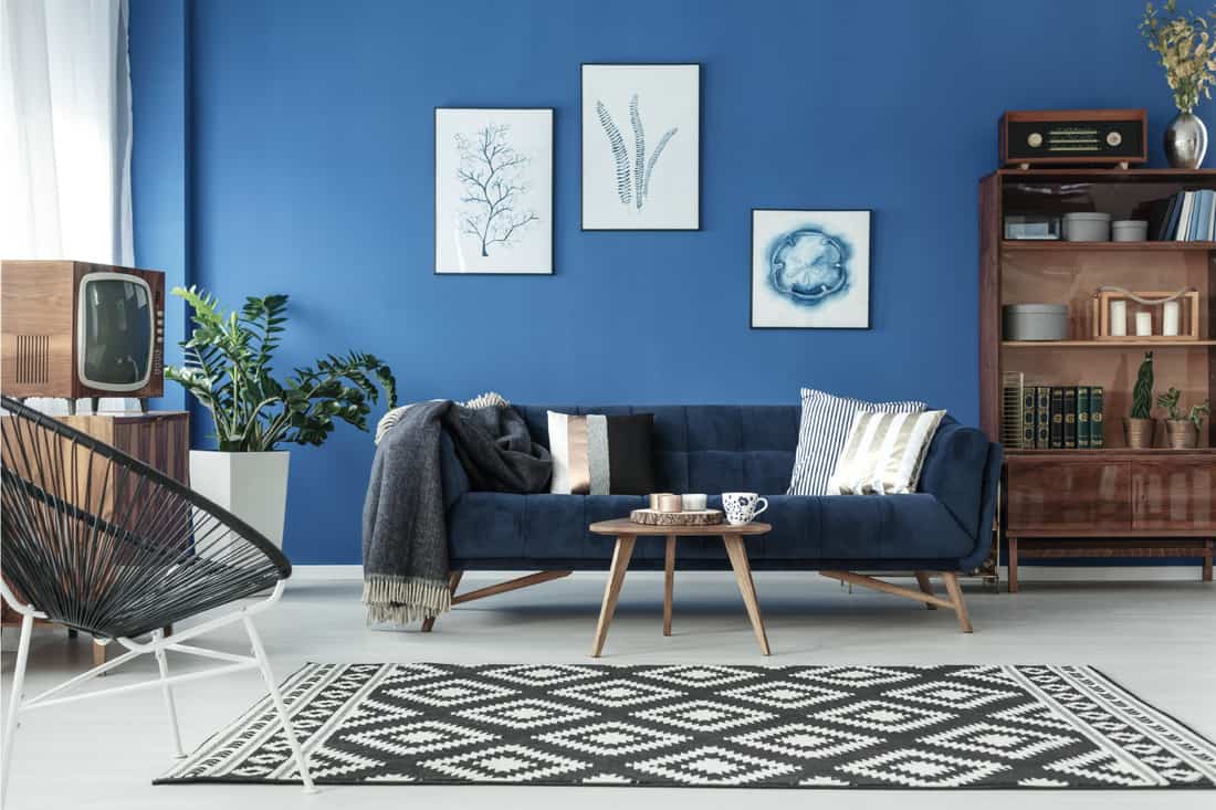 Blue up-to-date decor of lounge with blue sofa and patterned rug