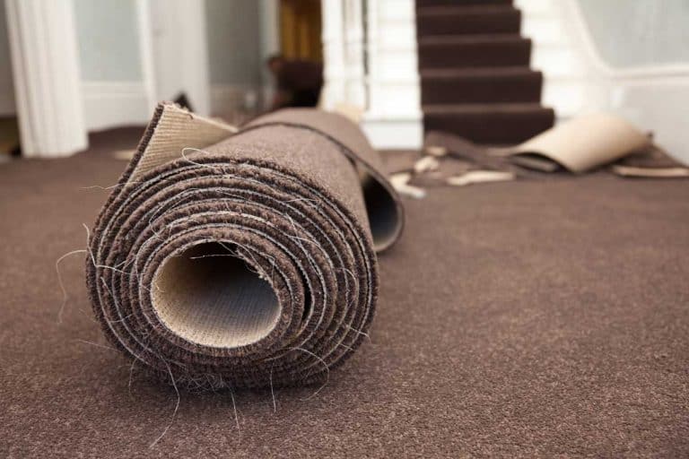 Carpet fitting in a modern home with carpeted stairs, How Often Should You Replace The Carpet?