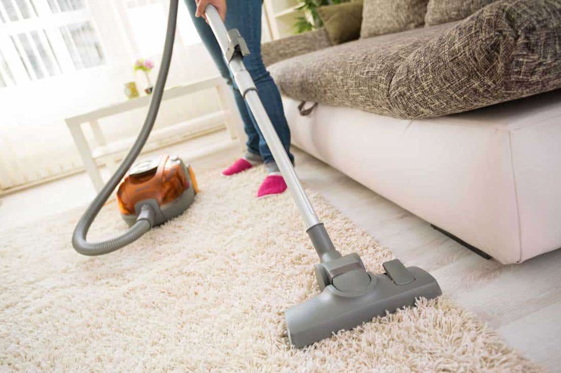 Cleaning carpet with vacuum cleaner in living room, How Often To Clean The Carpet