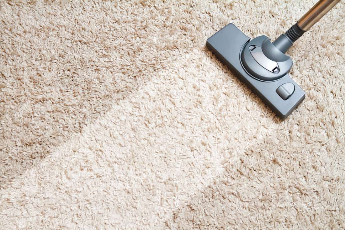 Cleaning high gain carpet by vacuum cleaner leaving a light patch