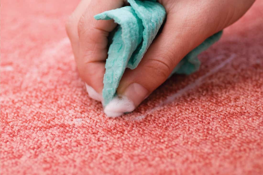 Cleaning red carpet using blue rag and cleaning compound How To Get Hair Dye Out Of Your Carpet