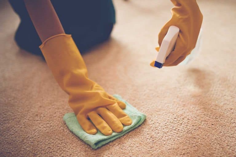 Close-up image of woman removing stain from the carpet, How To Remove Lipstick, Blush, Or Eye Shadow From Carpet
