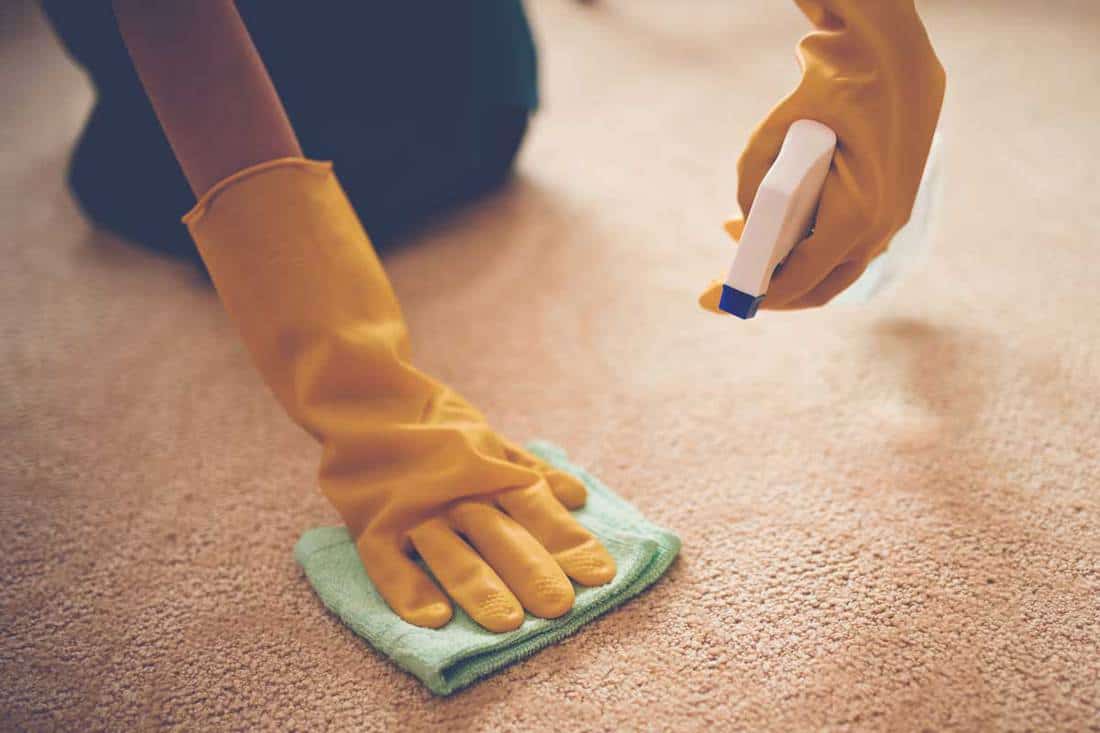 Close up image of woman removing stain from the carpet