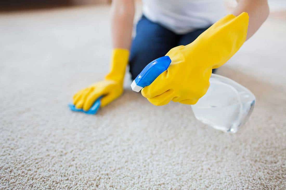 Close up of woman with cloth cleaning carpet