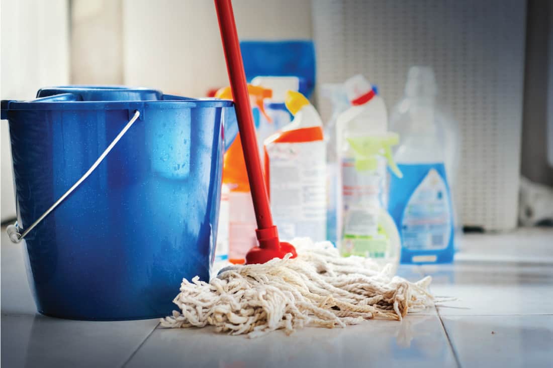 Closeup-of-unrecognizable-home-cleaning-products-with-blue-bucket-and-a-mop-in-a-bathroom-floor,-How-to-Clean-Bathroom-Tiles [8-Steps]