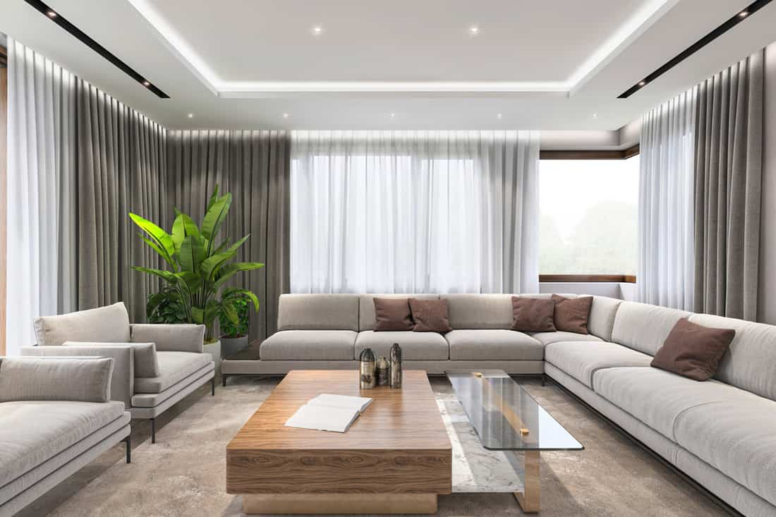 Contemporary interior of an ultra modern living room with sectional sofas and plants