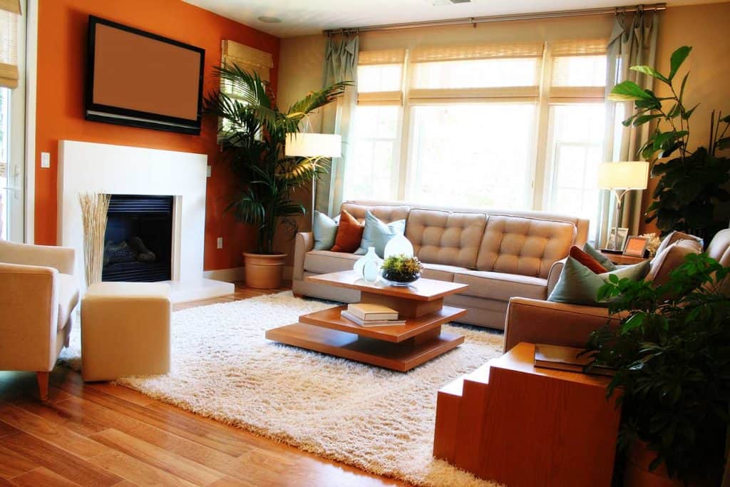 Cozy living room with fireplace, carpet on wooden floor and sofa
