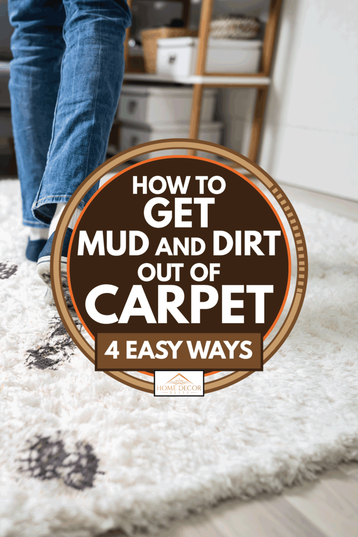 Elevated view of person walking with muddy footprint on carpet, How To Get Mud And Dirt Out Of Carpet [4 Easy Ways]