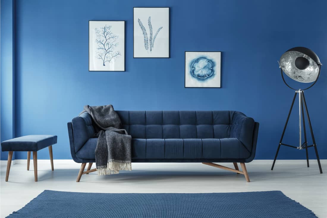 Fancy grey lamp and blue rug in blue spacious trendy living room