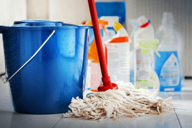 Home cleaning products with blue bucket and a mop in bathroom floor, How to Get Rid of Black Worms In the Bathroom [4 Methods]