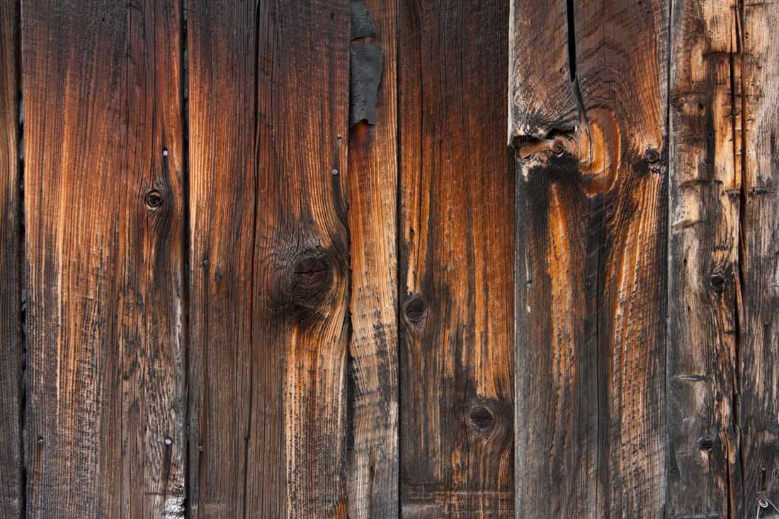 A house with gorgeous pine sidings with remarkable stains perfect for a rustic aesthetic, Is Pine Good For Exterior Siding?