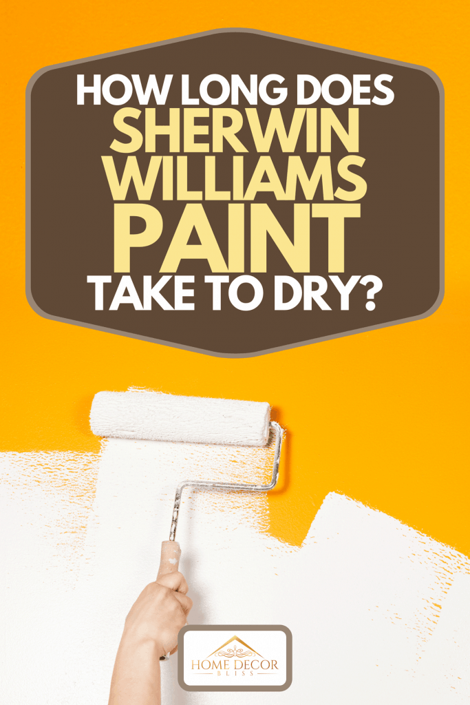How Long Does Sherwin Williams Paint Take To Dry? Home Decor Bliss