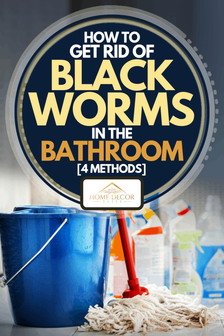 Produits de nettoyage à domicile avec seau bleu et vadrouille dans le sol de la salle de bain, Comment se débarrasser des vers noirs dans la salle de bain [4 Methods]