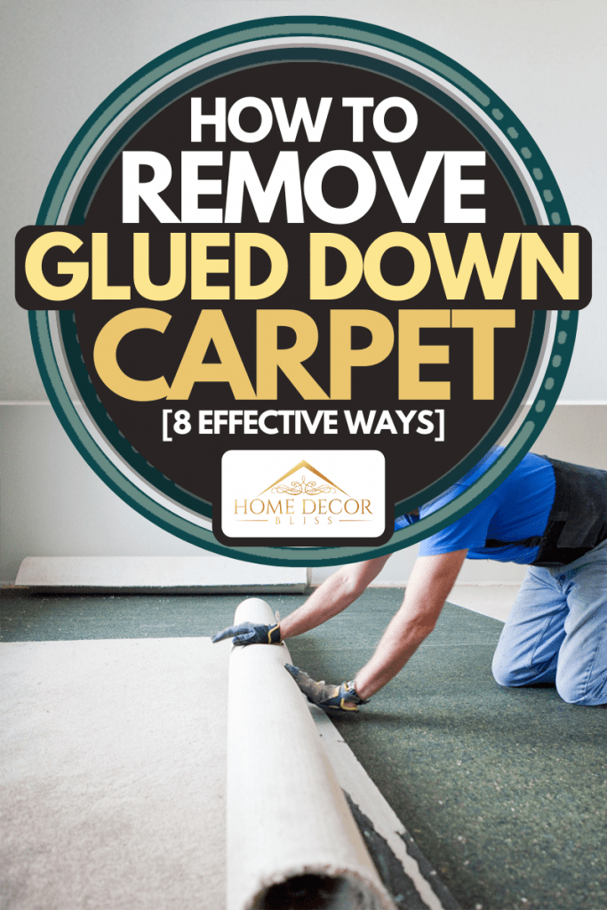 Man removing glued down carpet during home renovations, How To Remove Glued Down Carpet [8 Effective Ways]