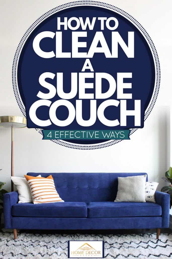 A blue suede sofa mid century style with an area rug underneath and an indoor fiddle leaf tree plant on each side, How to Clean a Suede Couch [4 Effective Ways]
